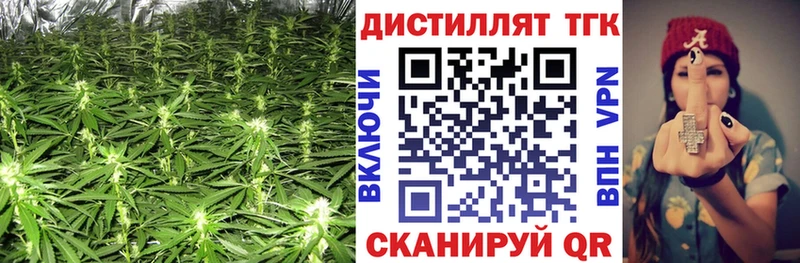 OMG маркетплейс Ижевск Дистиллят ТГК THC oil